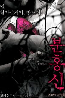 فیلم کره ای کفش های قرمز – The Red Shoes