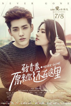 فیلم چینی Never Gone