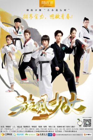 سریال چینی The Whirlwind Girl