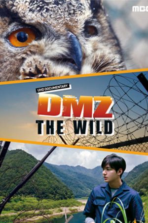 مستند DMZ, THE WILD 2017 – با حضور لی مین هو