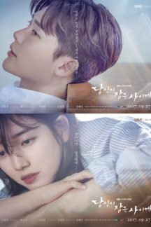 سریال کره ای وقتی تو خواب بودی – While You Were Sleeping 2017