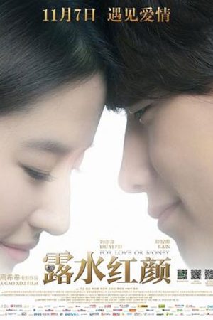 فیلم چینی For Love or Money 2014