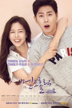 سریال کره ای Meloholic 2017