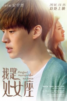 فیلم چینی Perfect Imperfection 2016
