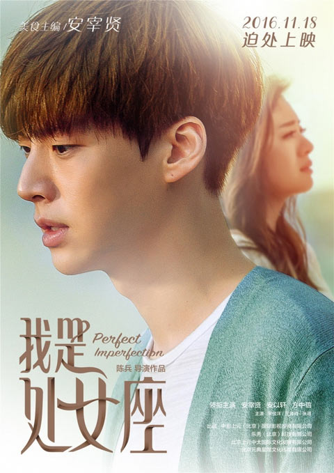 فیلم چینی Perfect Imperfection 2016
