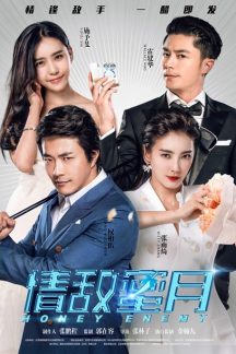 فیلم چینی Honey Enemy 2015