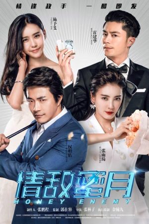 فیلم چینی Honey Enemy 2015