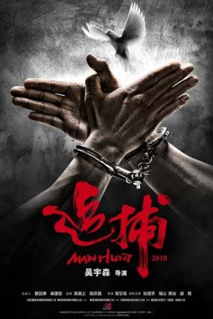 فیلم هنگ کنگی Manhunt 2017