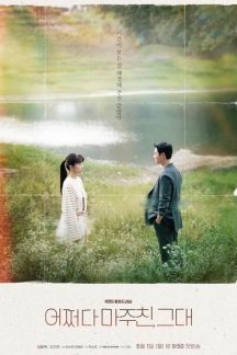 سریال کره ای My Perfect Stranger 2023