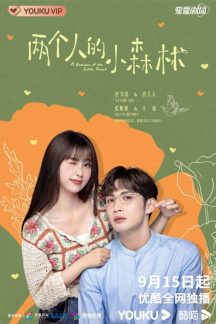 سریال چینی A Romance of the Little Forest 2022