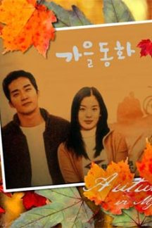 سریال کره ای پاییز در قلب من – Autumn in My Heart