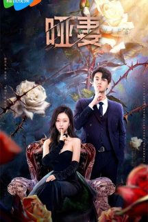 سریال چینی The Silent Wife 2024