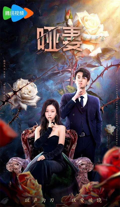 سریال چینی The Silent Wife 2024